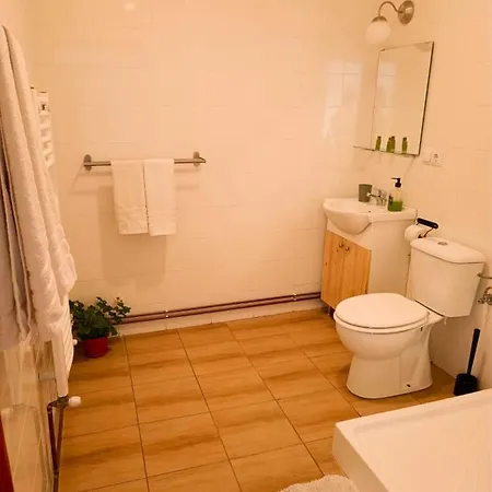Heltau Apartments Cisnădie Extérieur photo